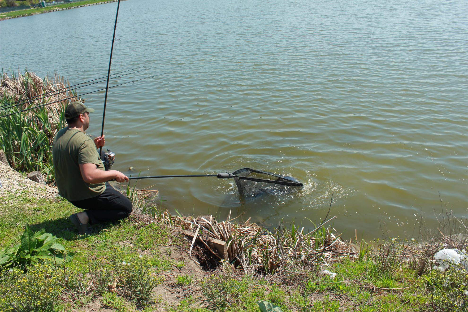 Hermes Peris 25 - 26 aprilie 2015 - img8266.JPG